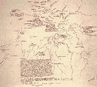 Map Kawhia large. Map Kawhia large.