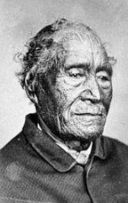 Tāmati Waka Nene.