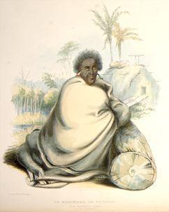 Te Wherowhero or Potatau, the principal chief of all Waikato [1844].